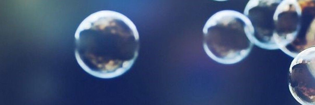 bicheando_'s profile banner image
