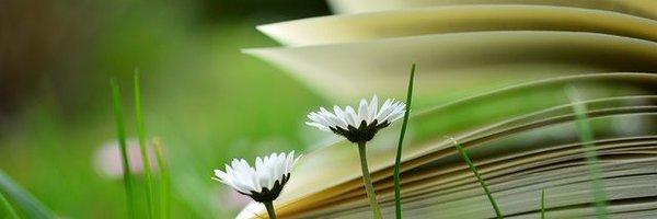 EDUCACCION_UNIR Profile Banner