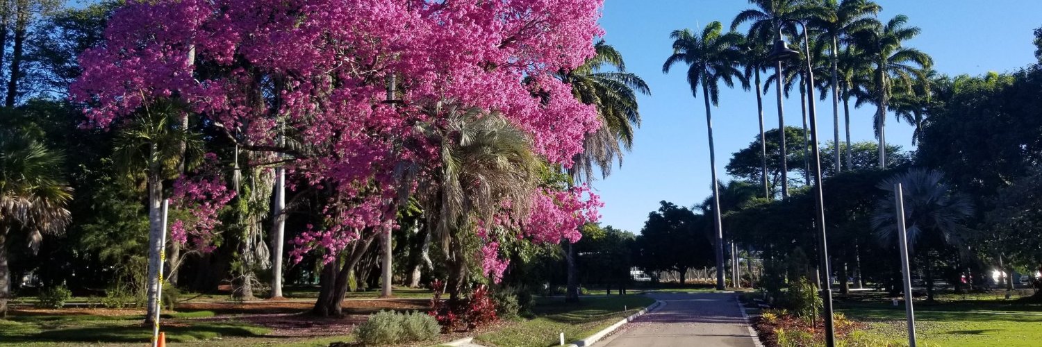 Pathomado's profile banner image