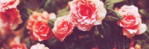 YulyaRi's profile banner image