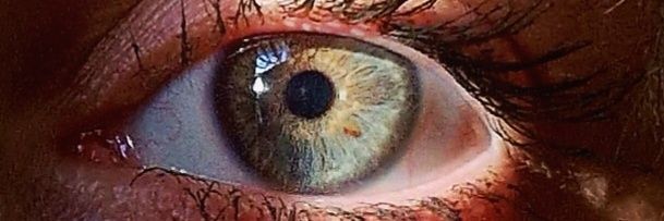 Rivka1987's profile banner image