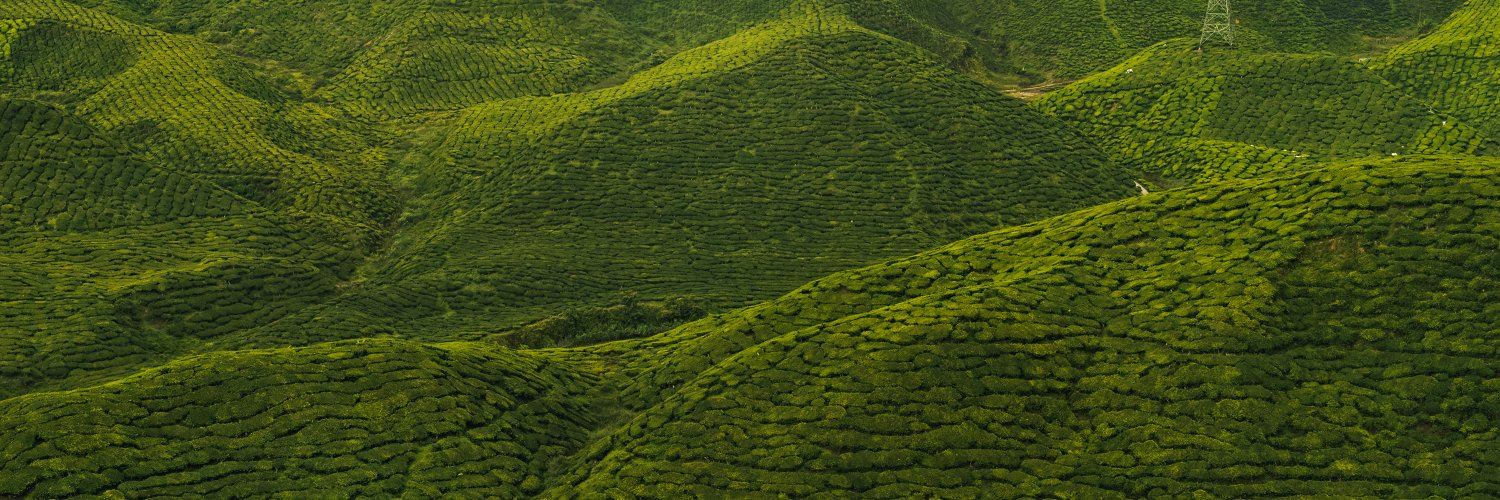 Koppert Nederland banner