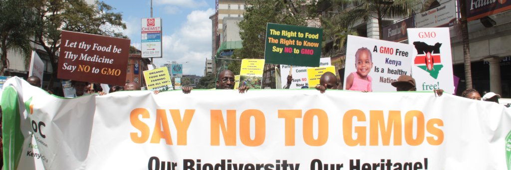 BIBA Kenya's banner