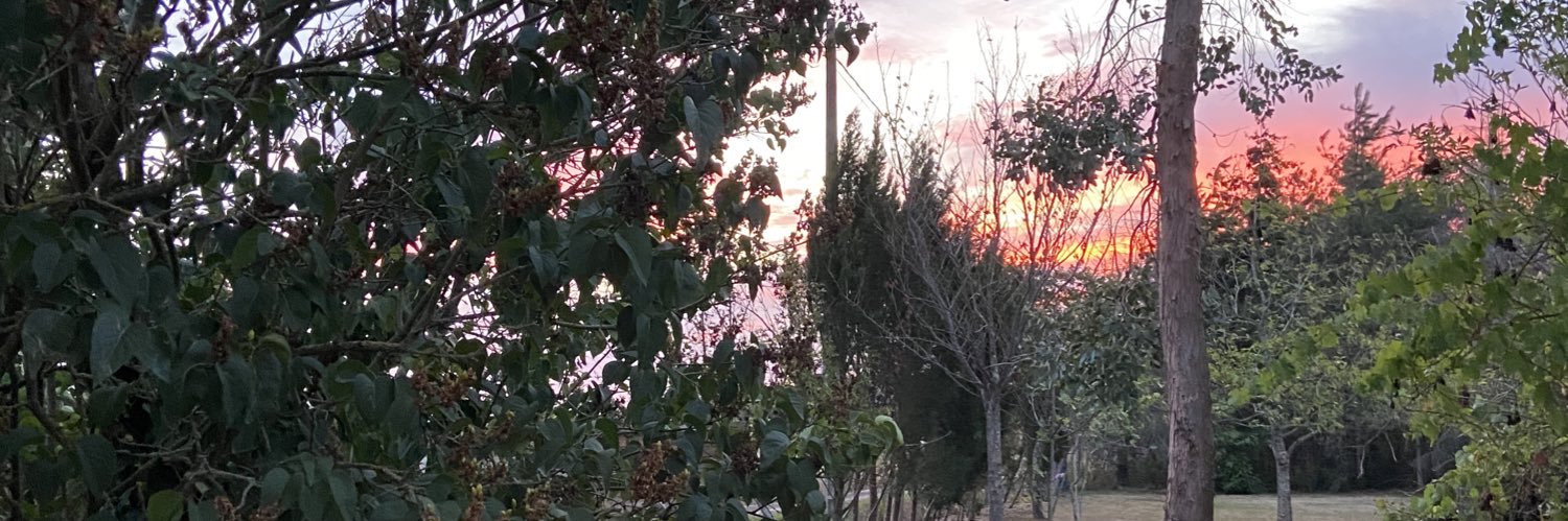 claramcln's profile banner image