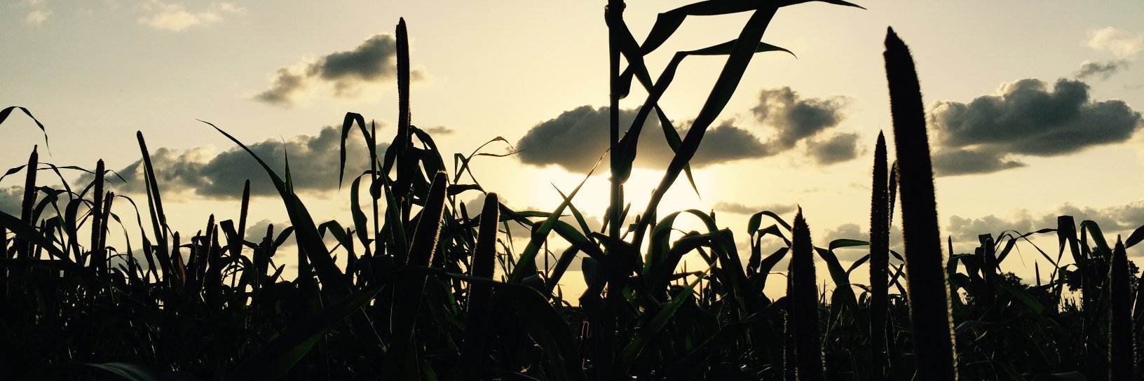 gideonvink's profile banner image