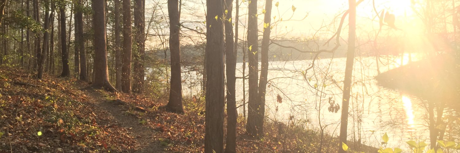 btcottrell's profile banner image