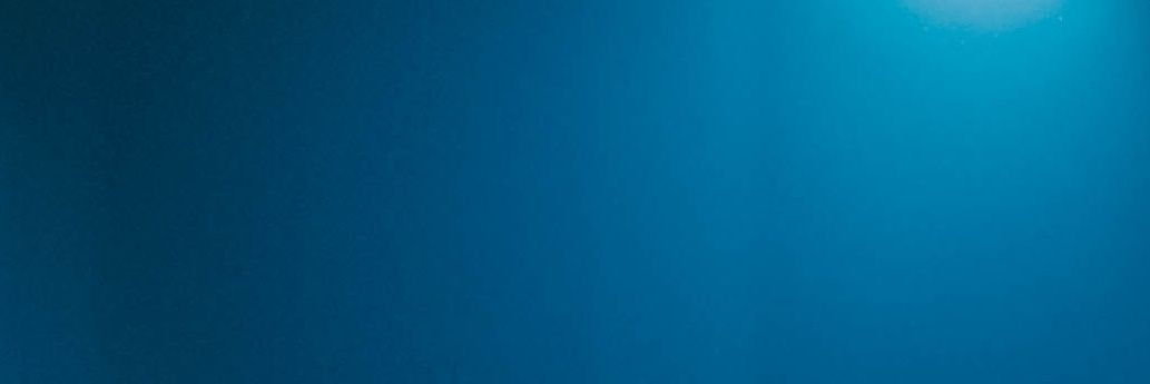 Kingtrunks_eth's profile banner image