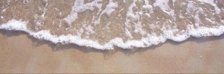danielapadi's profile banner image