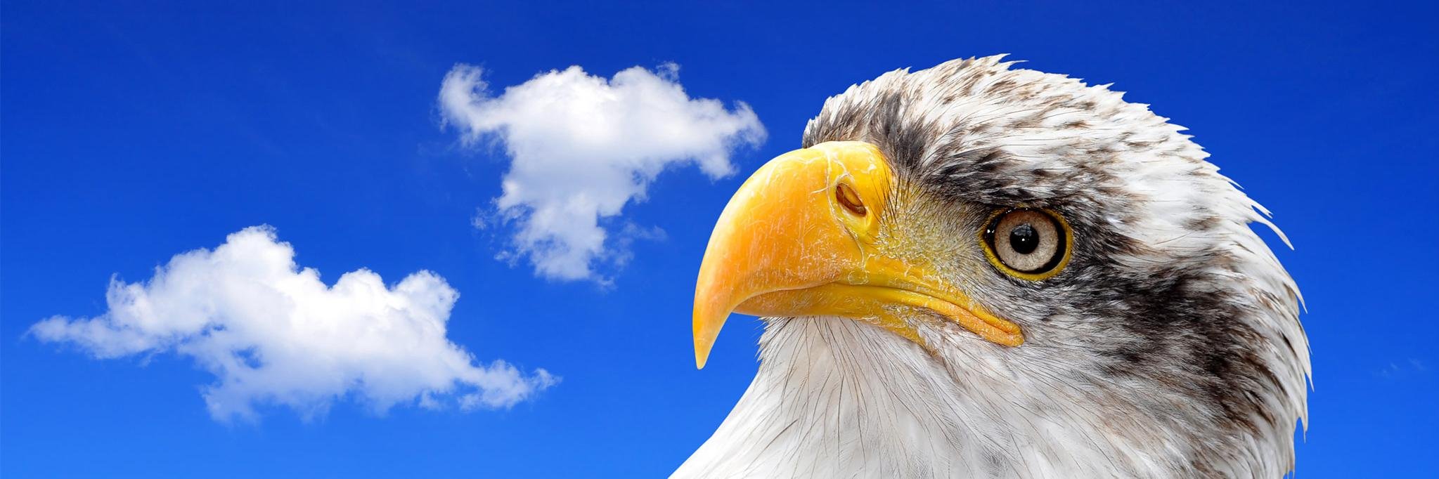 EagleNetworksit's profile banner image