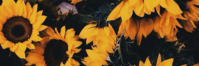 30milliando_'s profile banner image