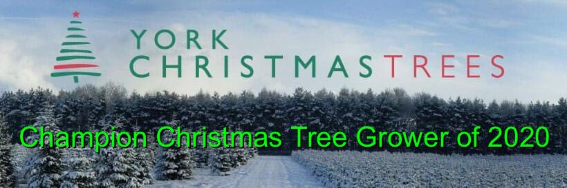 YorkXmasTrees's profile banner image
