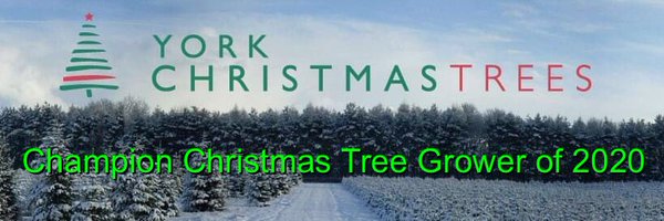 YorkXmasTrees Profile Banner
