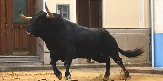 SiAlsBousAlCarrer banner