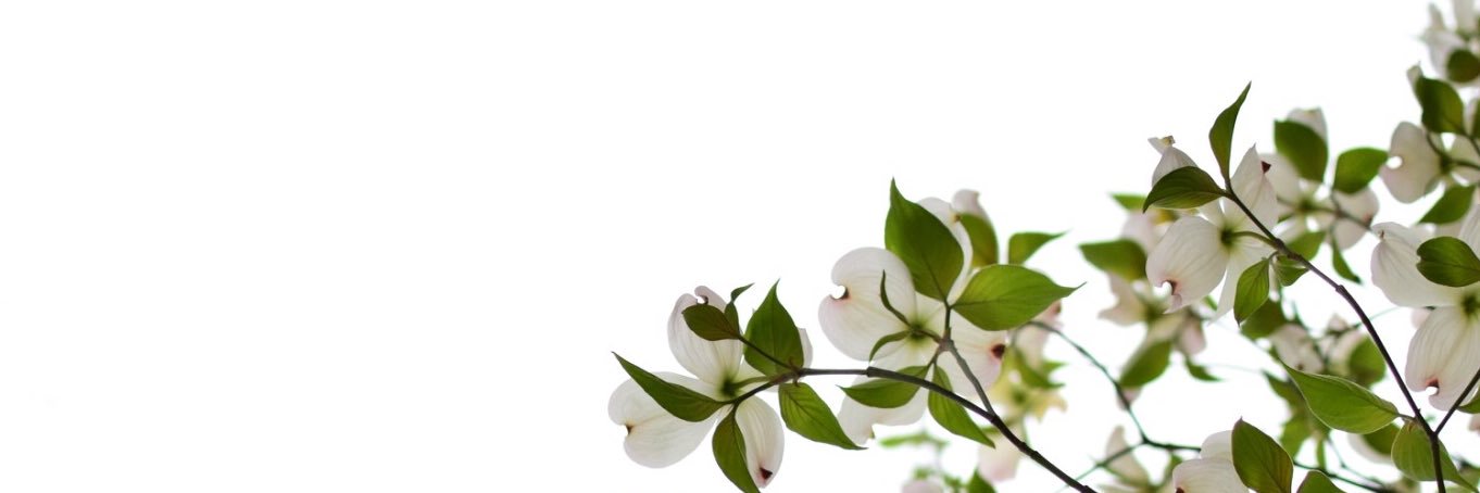 ryok_827's profile banner image