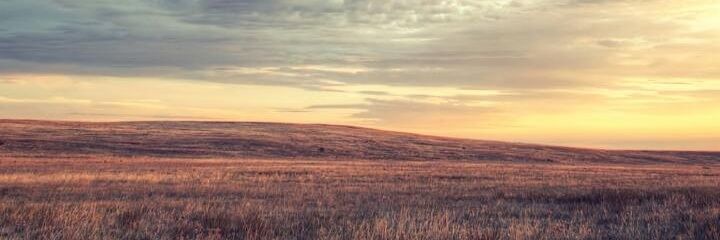 Nicoth1's profile banner image
