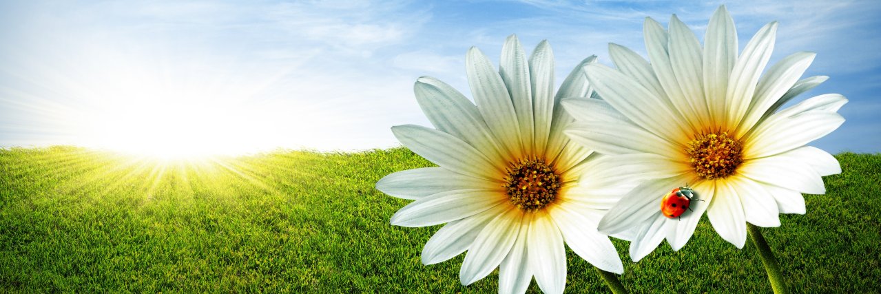 Pradeep Sen banner