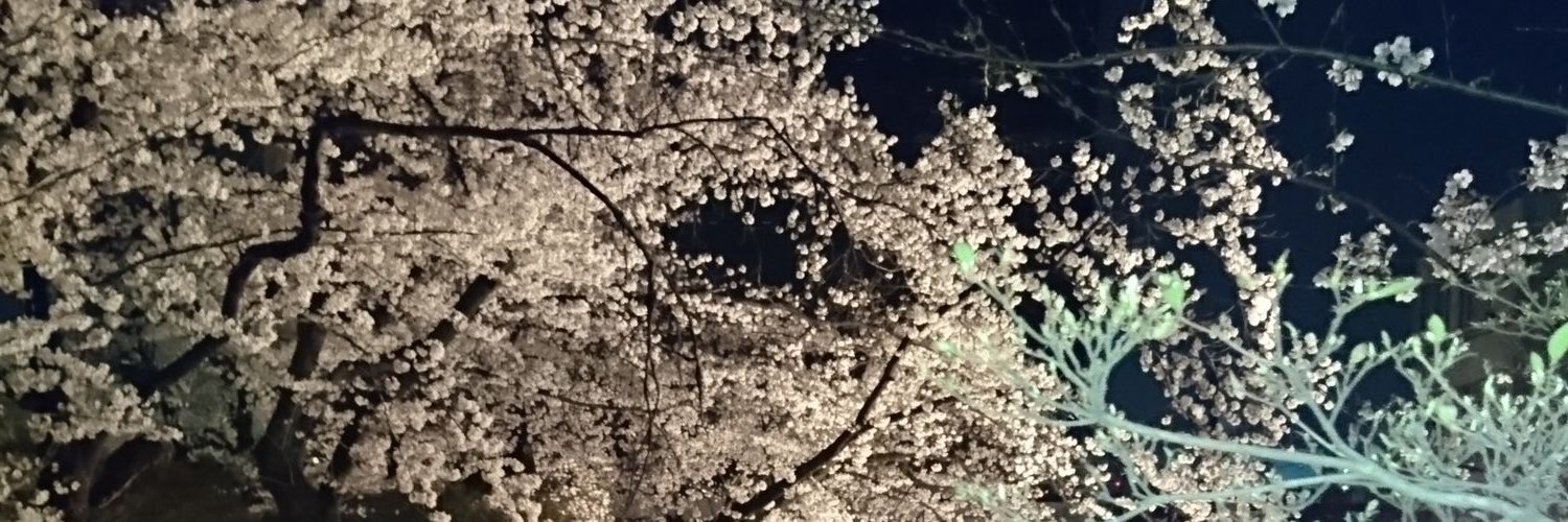 聖闘士誠矢@ banner