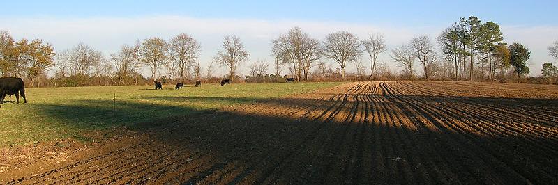 Land_Loss's profile banner image