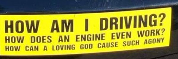 lilbeanski Profile Banner