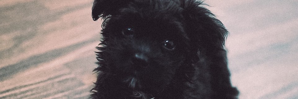 AustinUsen's profile banner image