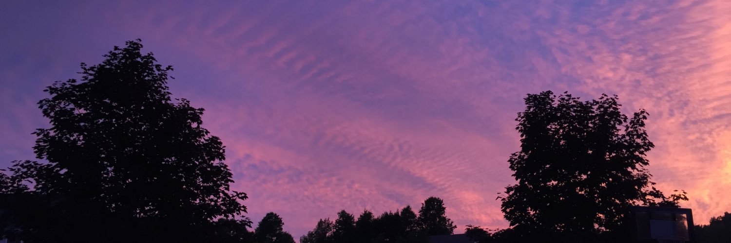 sammypryce's profile banner image