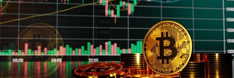 bigshortkripto's profile banner image