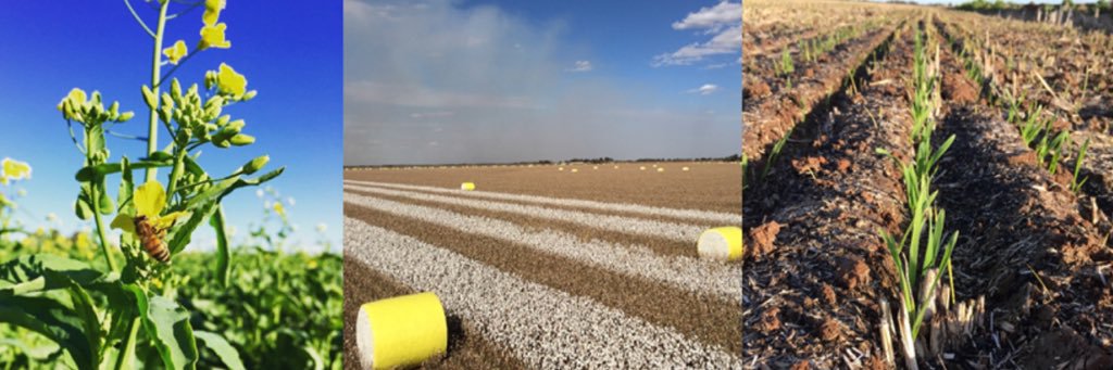 YPCAgronomy's profile banner image