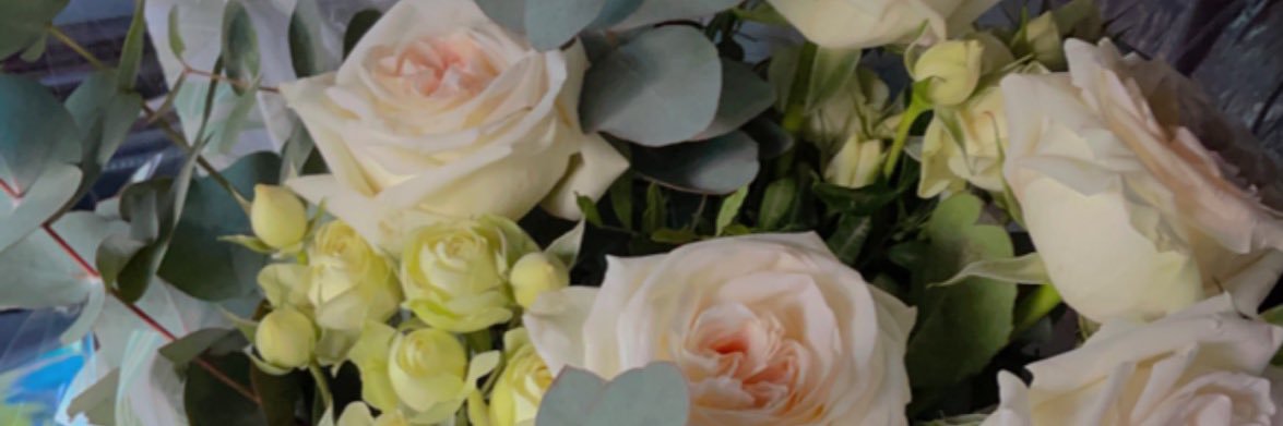 saif_e2's profile banner image