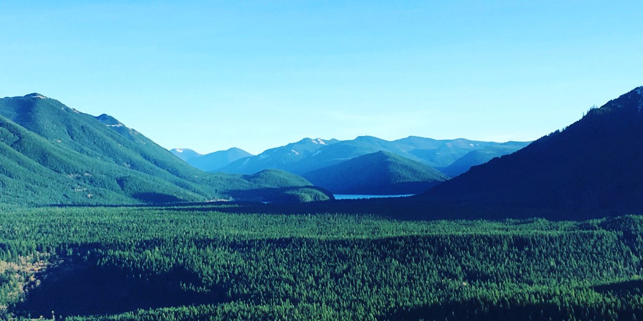 NoLamey's profile banner image