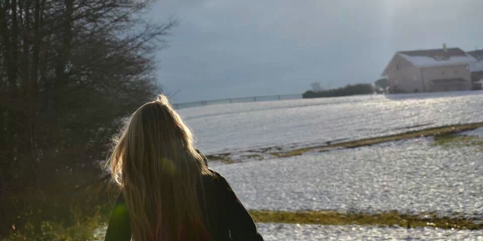 CanelleRst's profile banner image