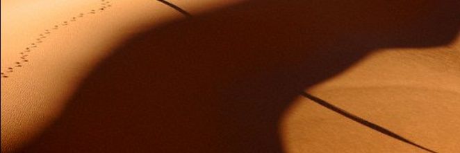 almarsawi2's profile banner image