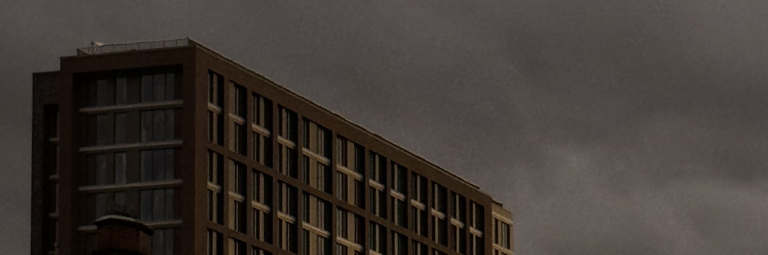 AdoptedLife's profile banner image