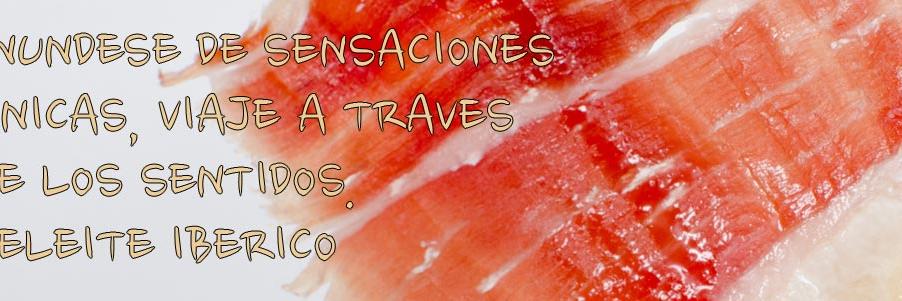 Blas_AlvarezM's profile banner image