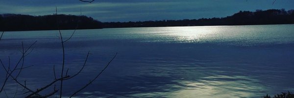 dabeard Profile Banner