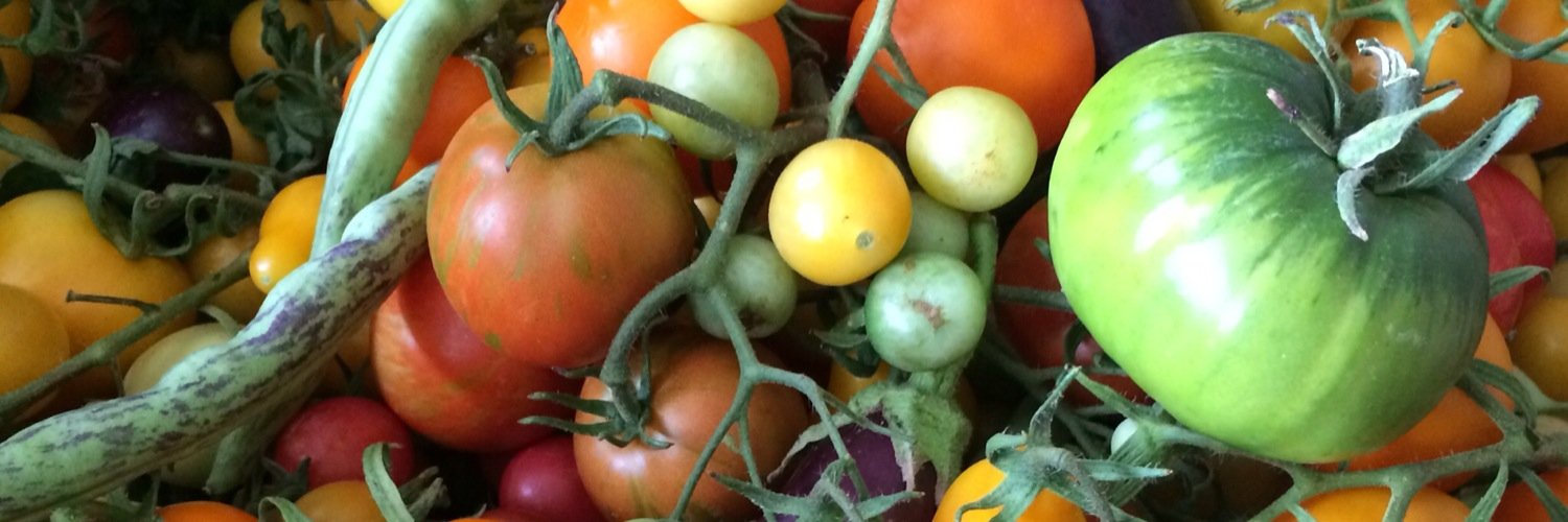 seed_kitchen's profile banner image