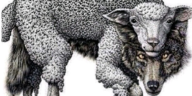 _BOSSFRANK's profile banner image