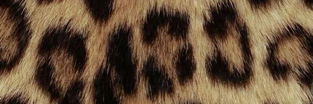 latepostfiles's profile banner image