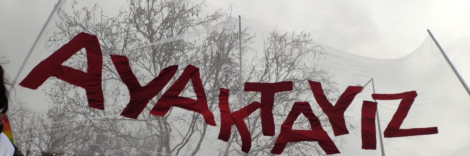 ilericikadin's profile banner image