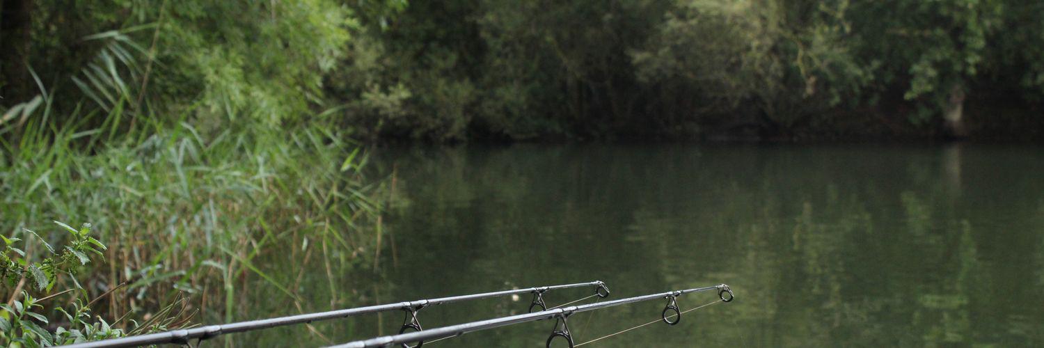VenomBaits's profile banner image