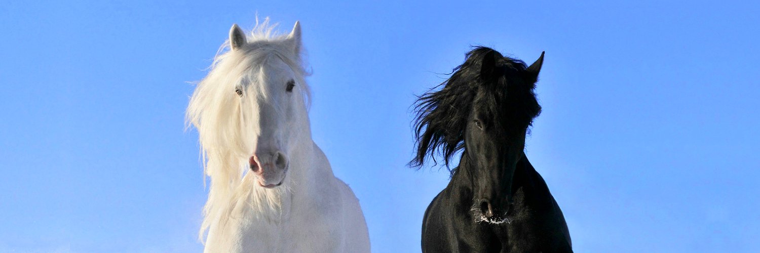 mobarakana's profile banner image