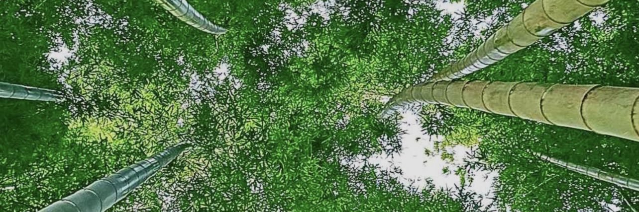 ctelli315's profile banner image