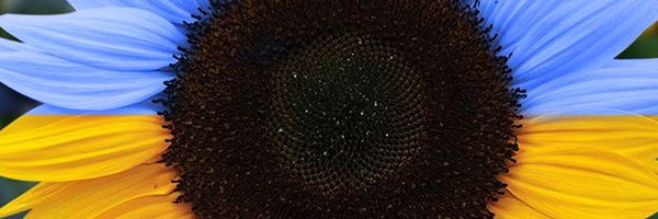 ExpectoResister Profile Banner