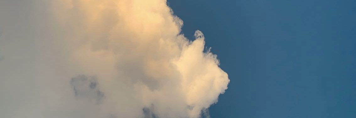 WinonnM's profile banner image