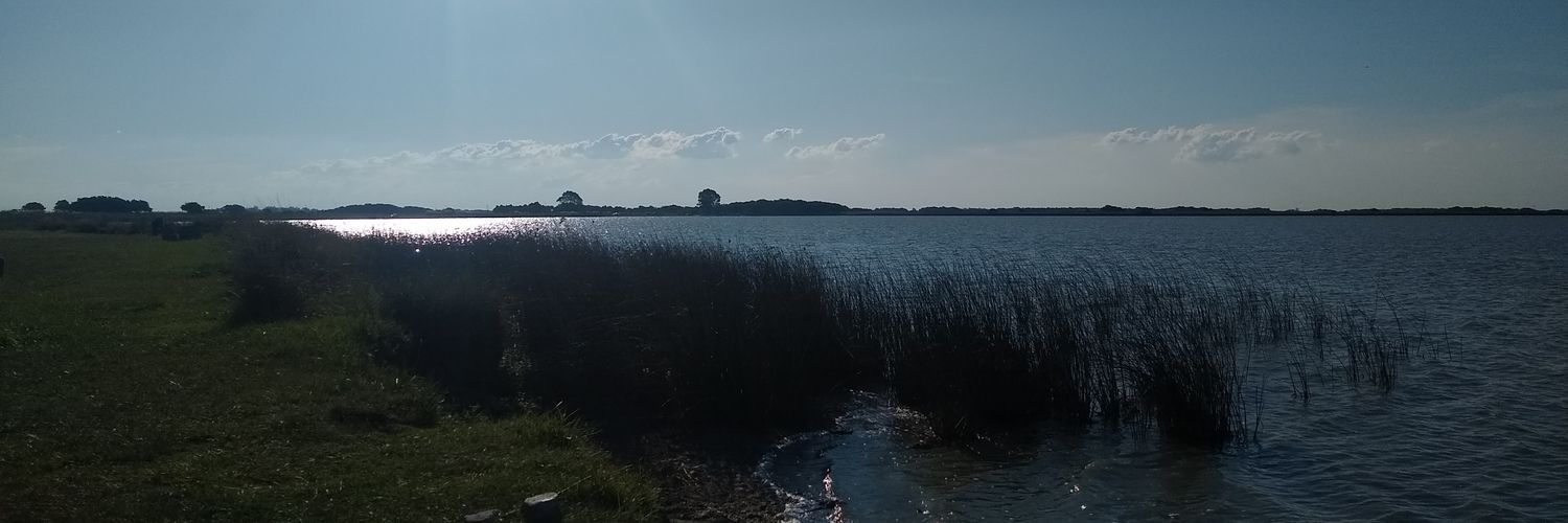 ToresCVO's profile banner image