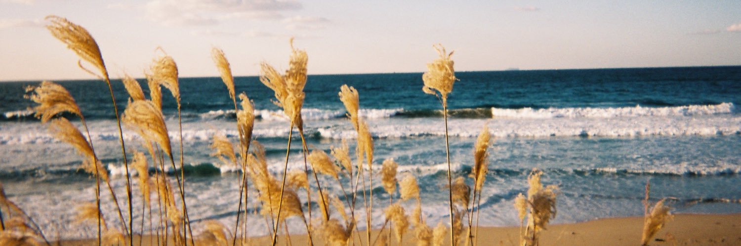johnomacca's profile banner image