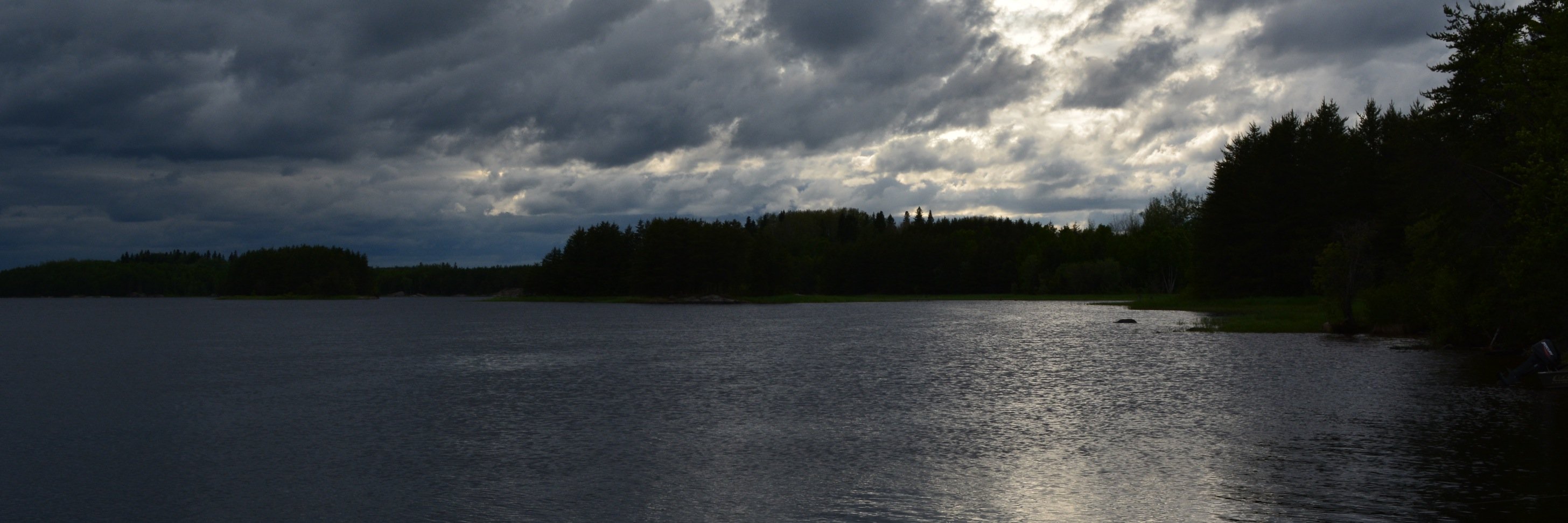 Amanda Patterson banner