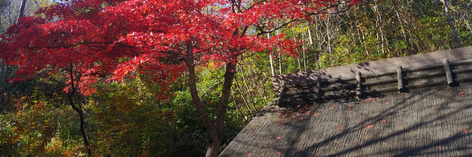 jjmame's profile banner image