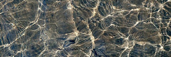 SwimBristol Profile Banner