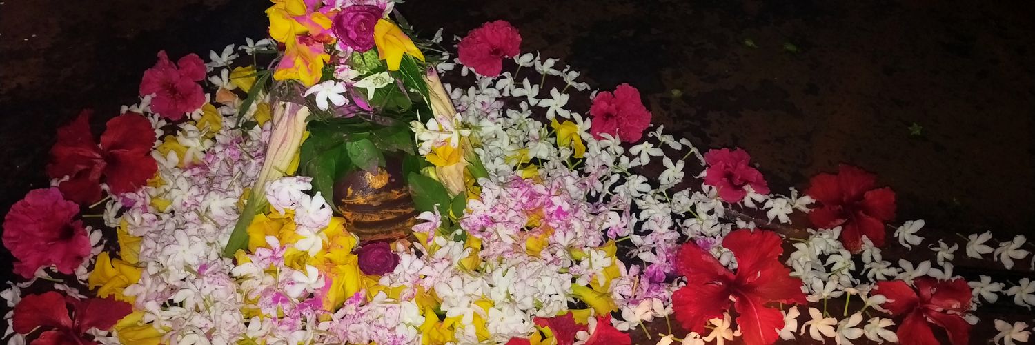 ssmishra02's profile banner image