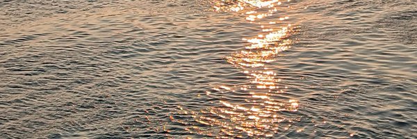 mispeticot Profile Banner